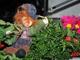 DSC_0936.JPG