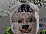 image3.jpeg