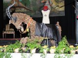 DSC_5240.JPG