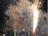 DSC_8284.JPG