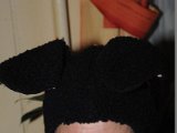 DSC_2555.JPG