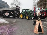 DSC_2942.JPG