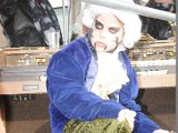DSC_4144.JPG