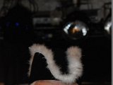 DSC_9624.JPG