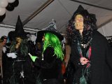 DSC_9765.JPG