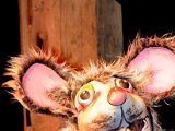 DSC_9775.JPG