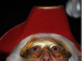 DSC_5611.JPG