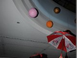 DSC_5971.JPG