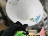 DSC_0286.JPG