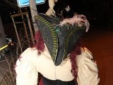 IMG_7160.jpg