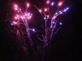 IMG_7198.jpg
