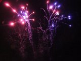 IMG_7199.jpg