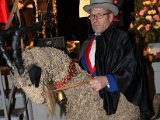 IMG_0640.jpg
