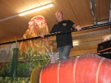 IMG_6444.jpg